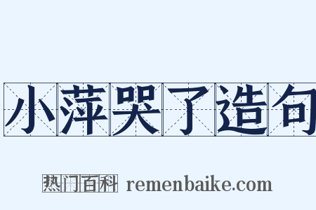 小萍哭了造句是什么意思的图片